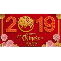 2019新春迎豬年