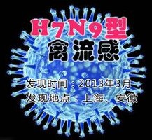 一起對抗H7N9